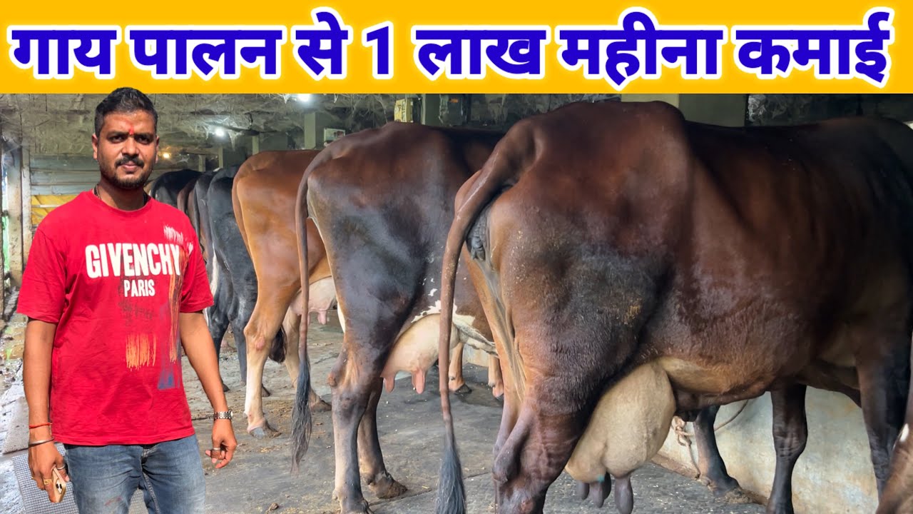 गाय पालन से 1 लाख महीना कमाई | dairy farming in india 