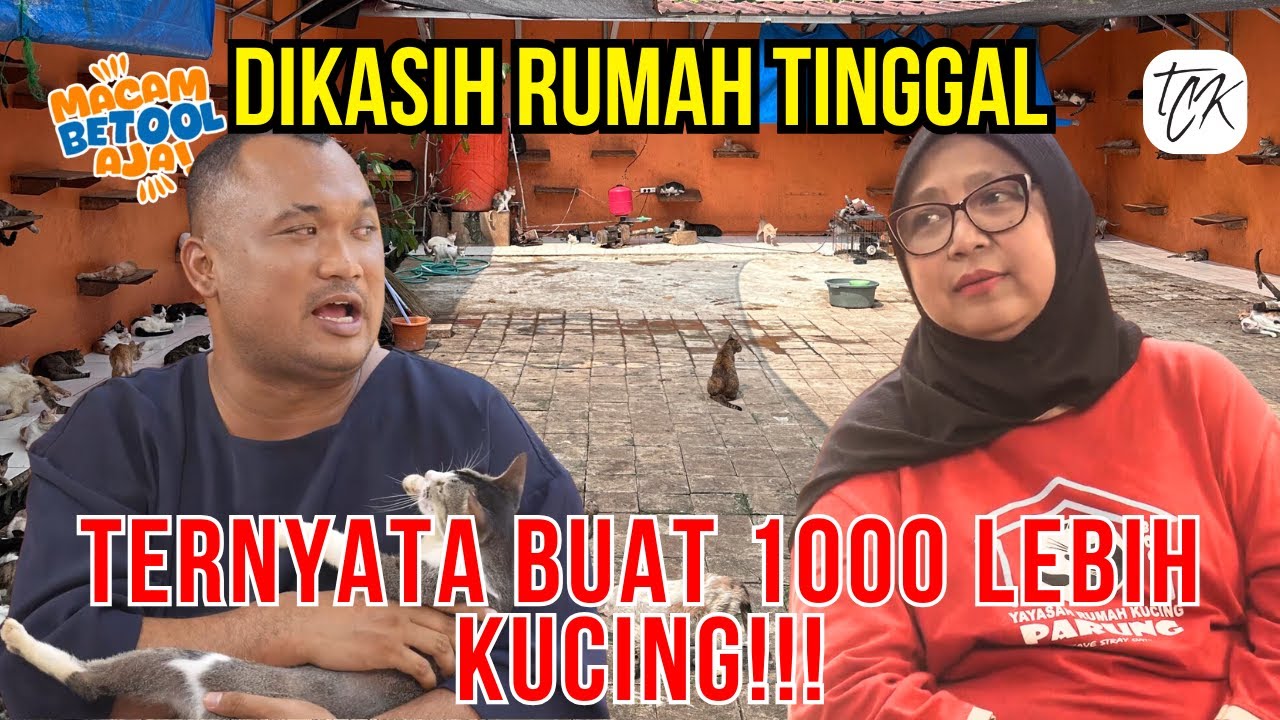 DIKASIH RUMAH SAMA ORANG, DIPAKE BUAT MENAMPUNG KUCING TERLANTAR, VIRAL!!