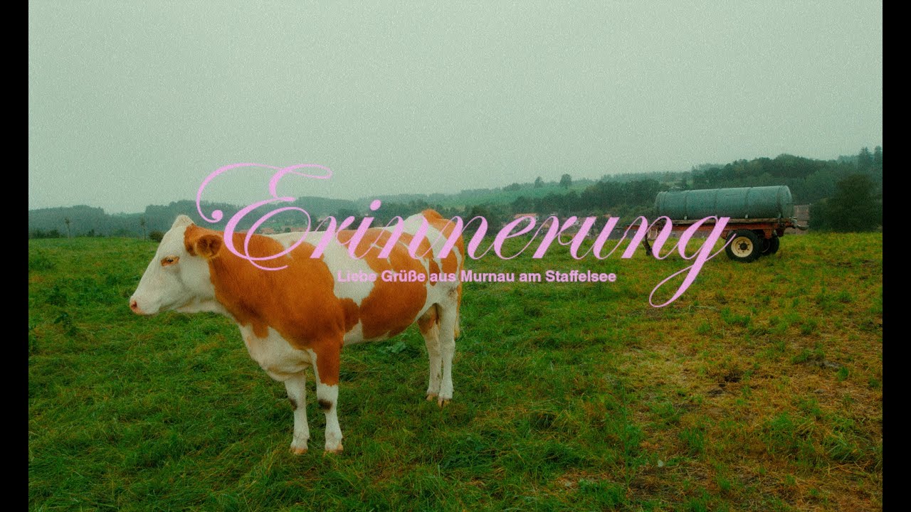 Maikel &ndash; Erinnerung