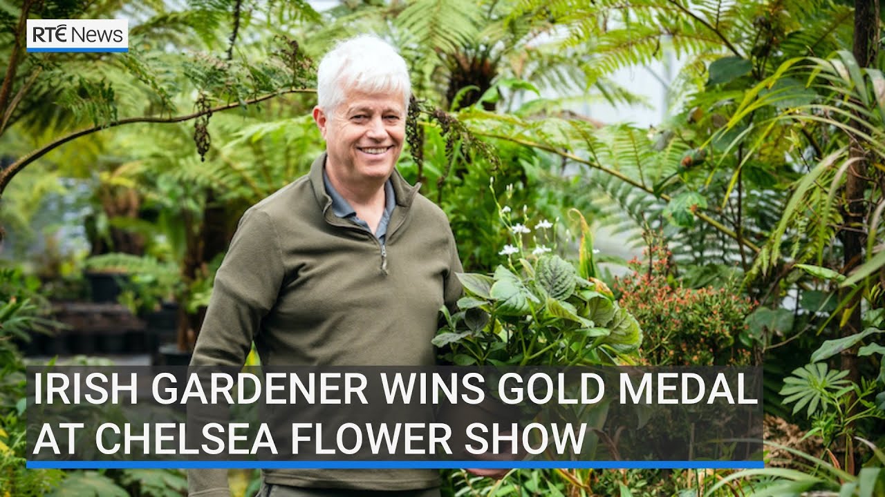Irish gardener wins gold at Chelsea Flower Show