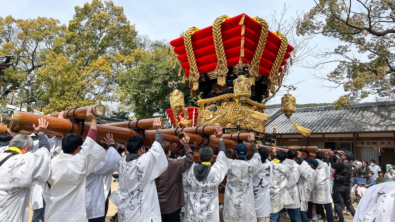 R5.4.2 淡路島 都志八幡神社春祭り だんじり・船神輿 宮入(新在家・大濱・万歳・大宮・本村) 2023/04/02(日)
