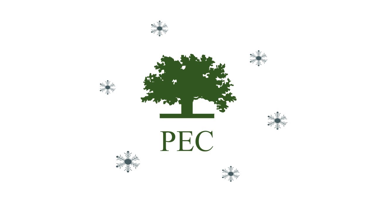 PEC 2020 Holiday Thank you for all