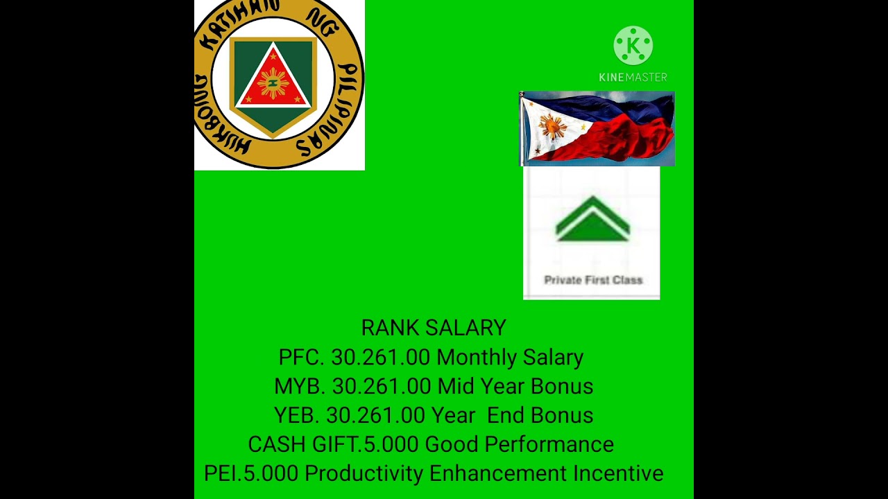 RANK SALARY & BONUSES OF (AFP)