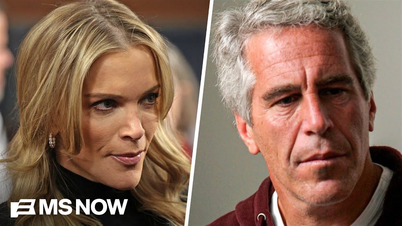 Megyn Kelly dragged for comment saying Epstein was into 'barely legal-type'