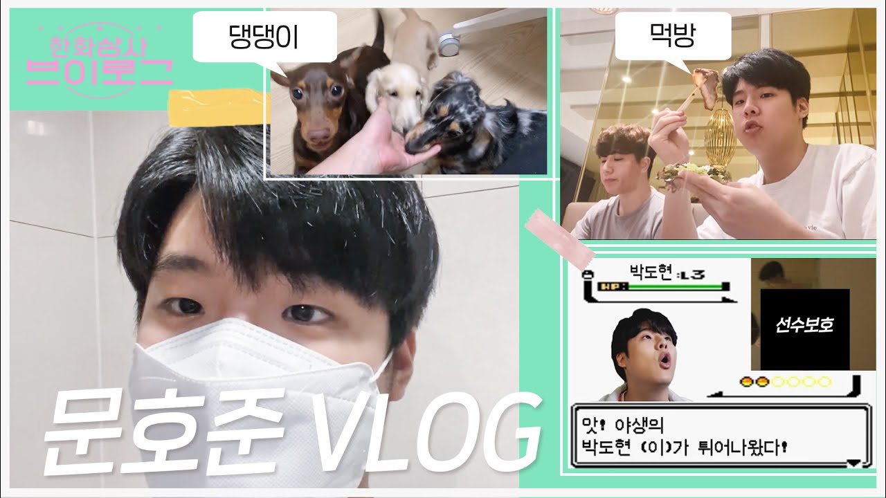 한생이 합숙하면 생기는 일.avi 미친듯이 알찬 문호준 Vlog! ROX 경기 비하인드 | 한화상사 브이로그