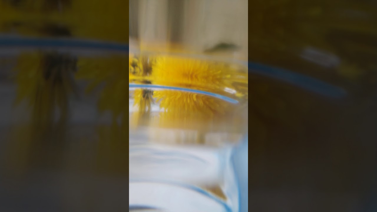 VID 20190505 140403