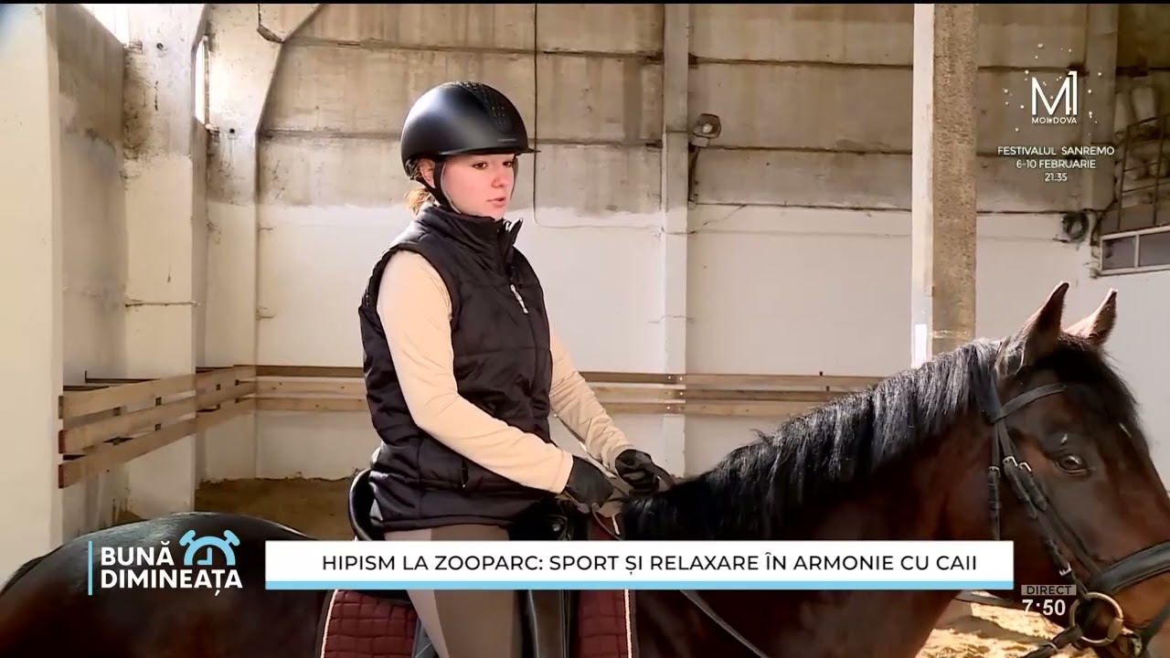 Hipism la zooparc: Sport și relaxare în armonie cu caii