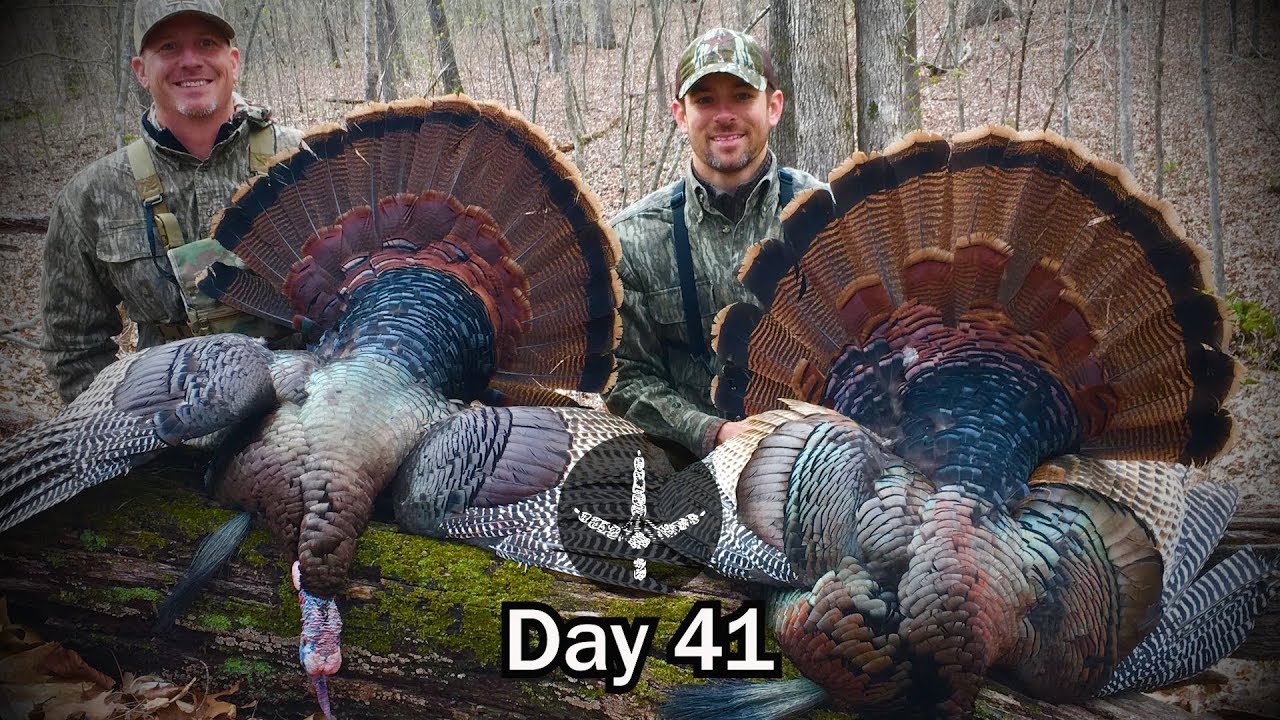 REAL TURKEY HUNTING_ KENTUCKY PUBLIC LAND_ DO IT YOURSELF HUNT- Pinhoti Project Day 41