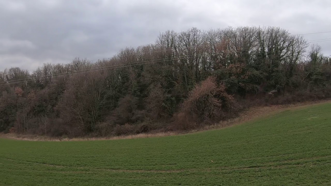 Battue au chevreuil avec l&rsquo;impact LA de chez Verney Carron