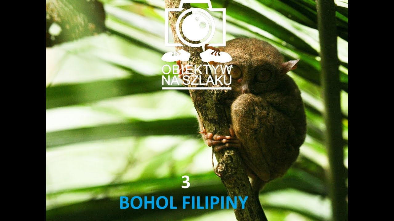 BOHOL FILIPINY