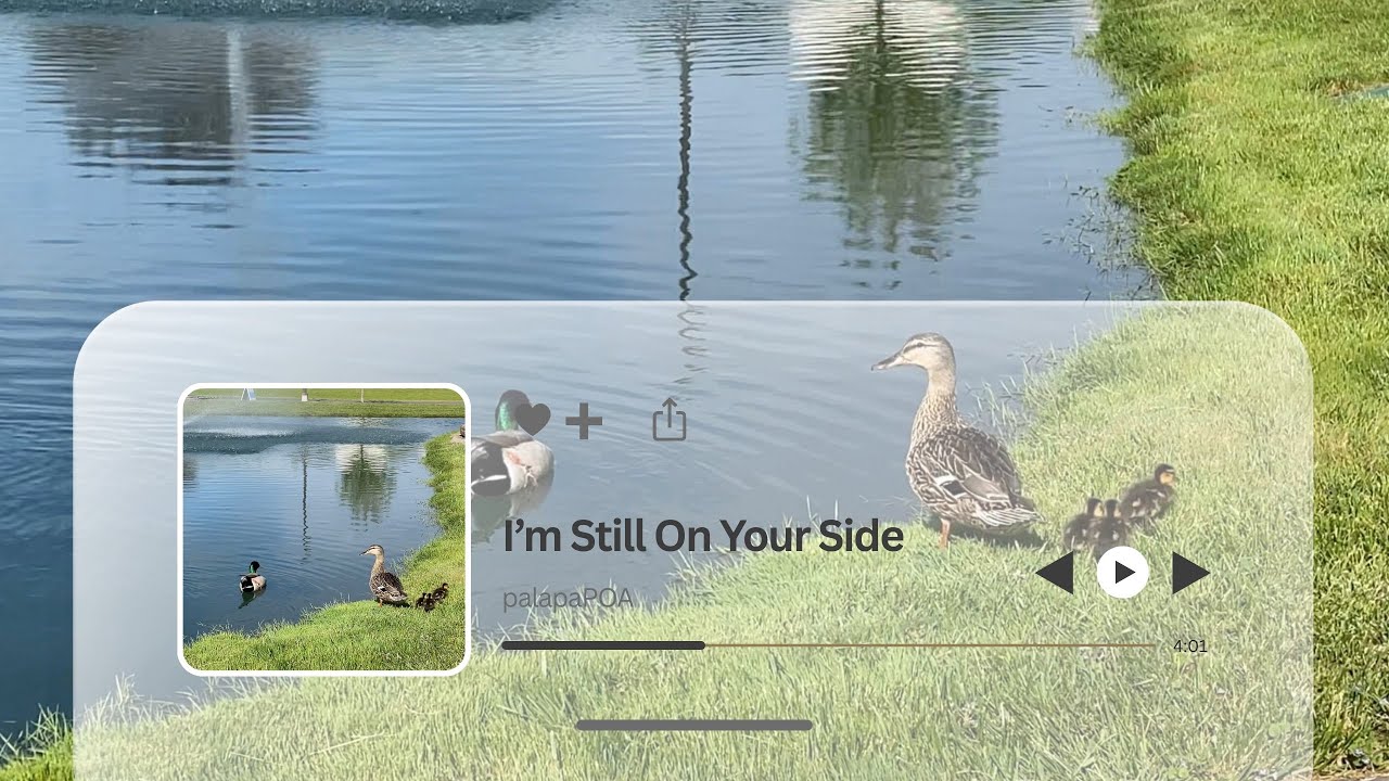 palapaPOA - I’m Still On Your Side | Lyrics Video
