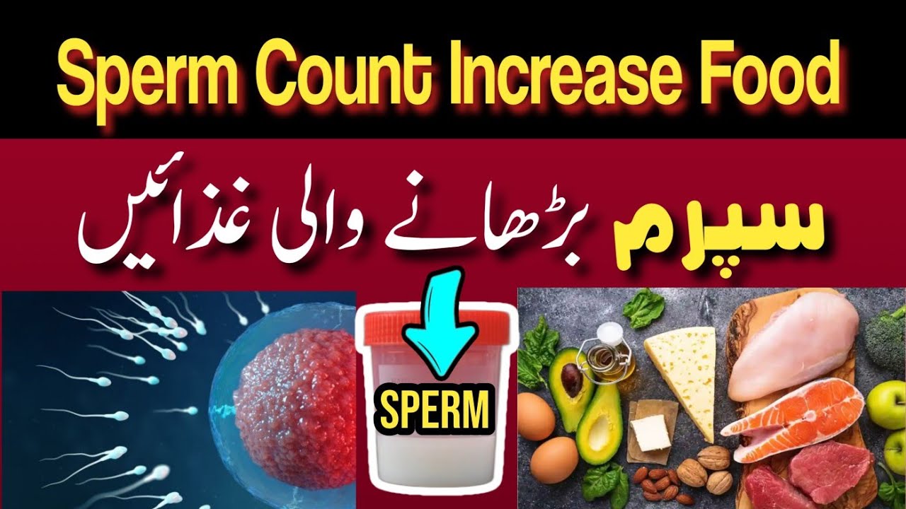 Sperm Count Increase Food | Healthy Food for Sperm