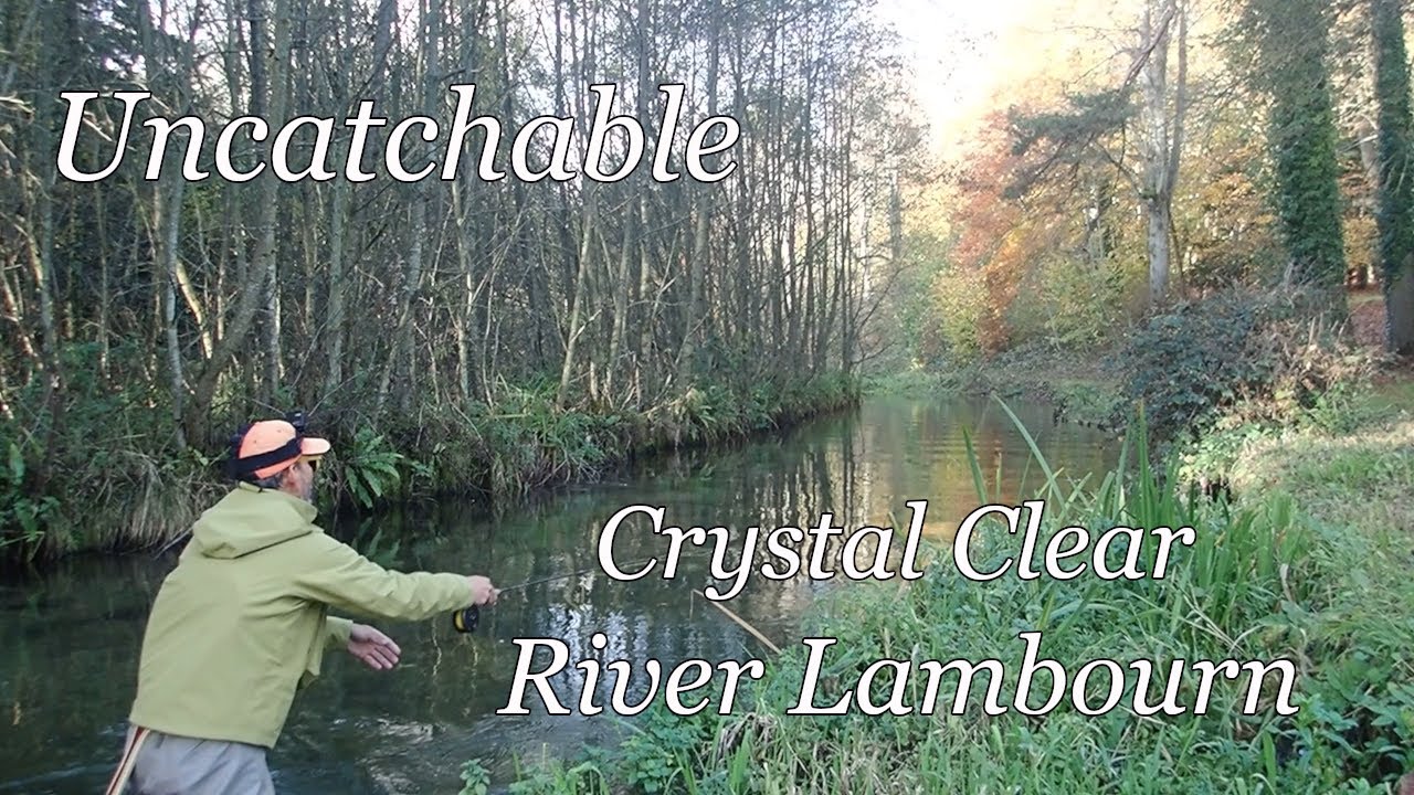 River Lambourn, Donnington Grove Grayling Fishing. ランボーン川のグレイリング。夏は15000円のビート独り占め　渓流　チョークストリーム