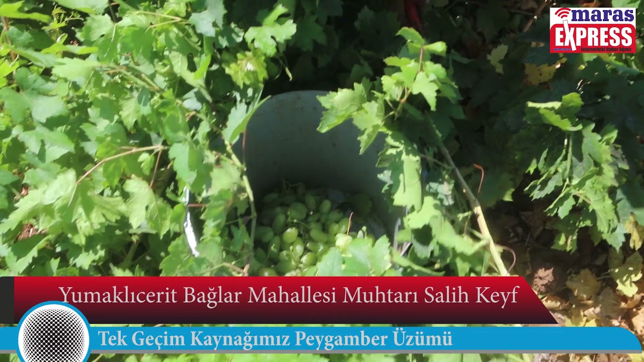 Kendimiz üretiyoruz, Tüccarlar satıyor