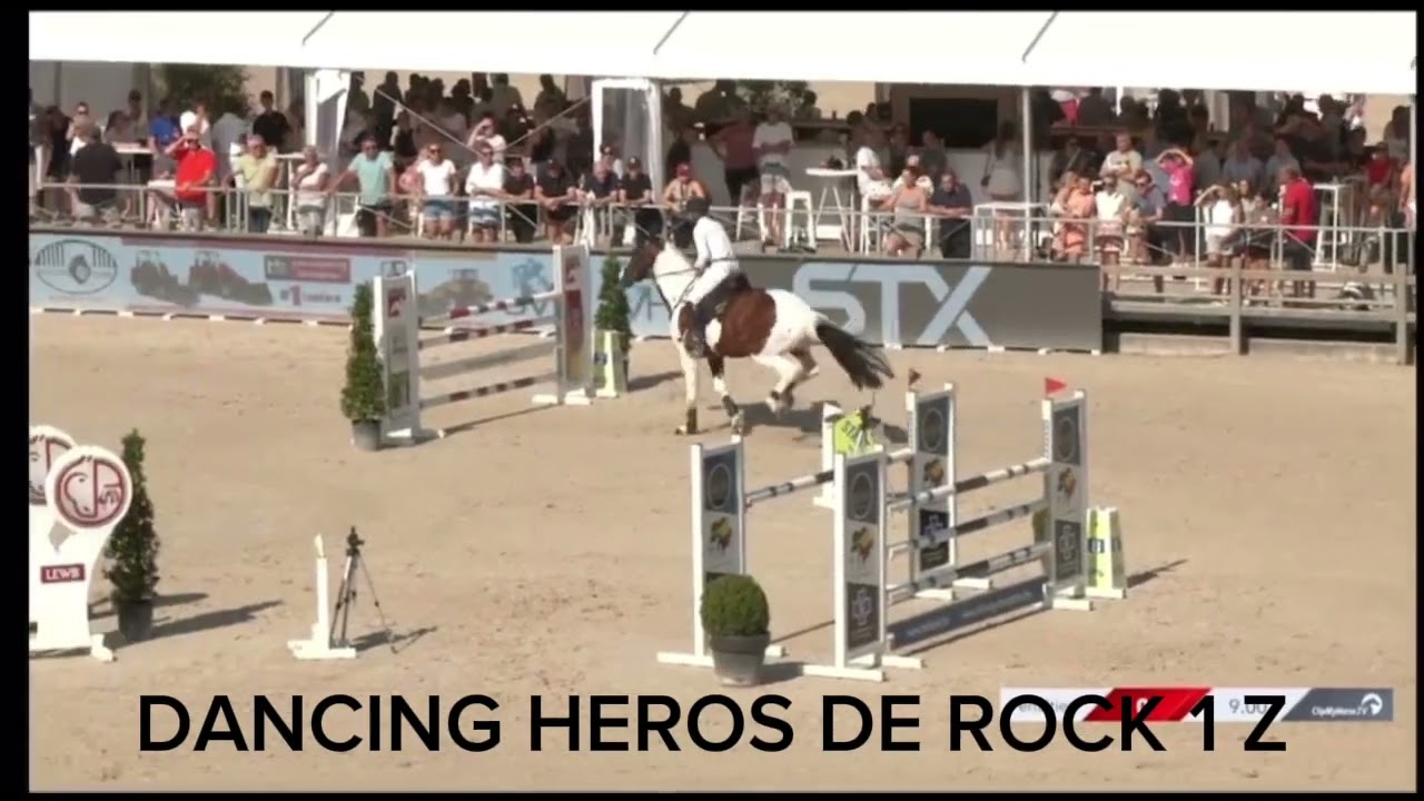 Dancing heros de Rock 1 Z