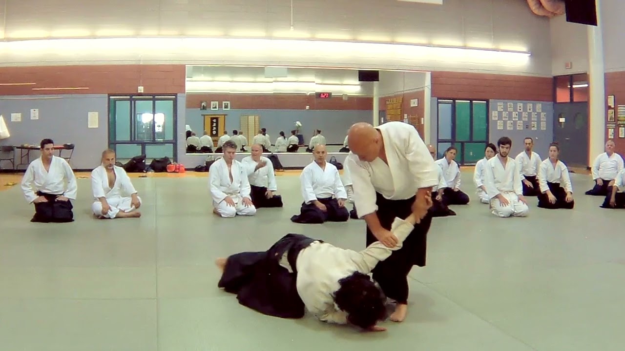 Aikido - Alain Tendron Sensei 2018 in Montreal Canada @Enso.Aikido.Montreal