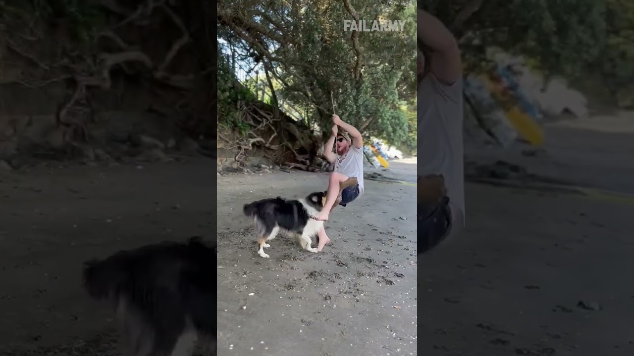 Wrong stick bro WRONG STICK 😬🪵🐕