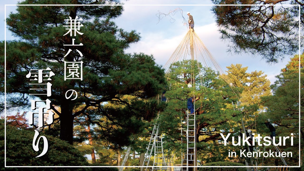 (Project.43) Yukitsuri work at Kenrokuen Garden.