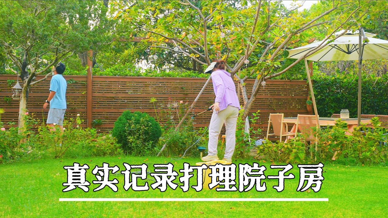 沉浸式花园维护 出门3周 草比人高