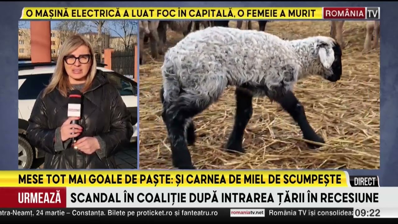 Mese tot mai goale de Paşte, şi carnea de miel se scumpeşte