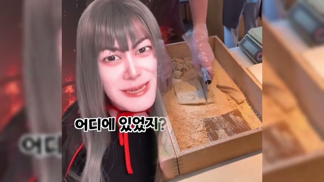 🤣👌👌👌김켈리 2026 POV 꼭 봐야 할 미친 클립 모음 #유머 #fypシ #POV #fyp #foryou 😍😜
