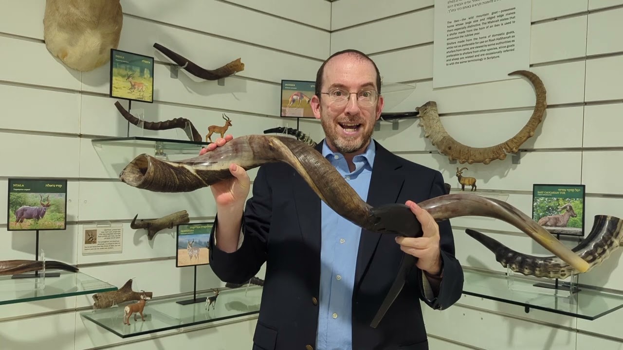 A Shofar Wonder