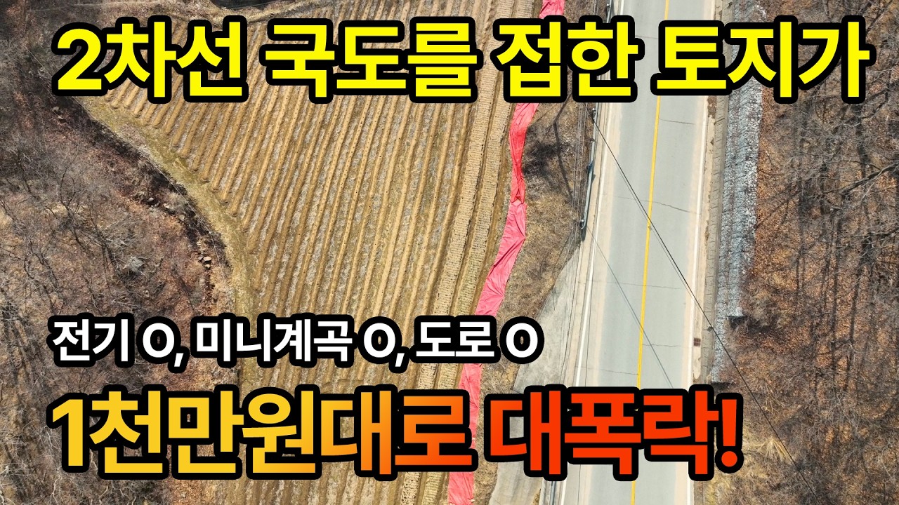 2차선 국도를 접한 토지가 1천만원대로 대폭락 했습니다! (전기, 미니계곡, 도로 O)