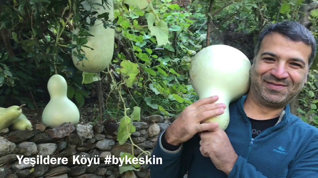Yeşildere Köyü Bahçeleri #bykeskin
