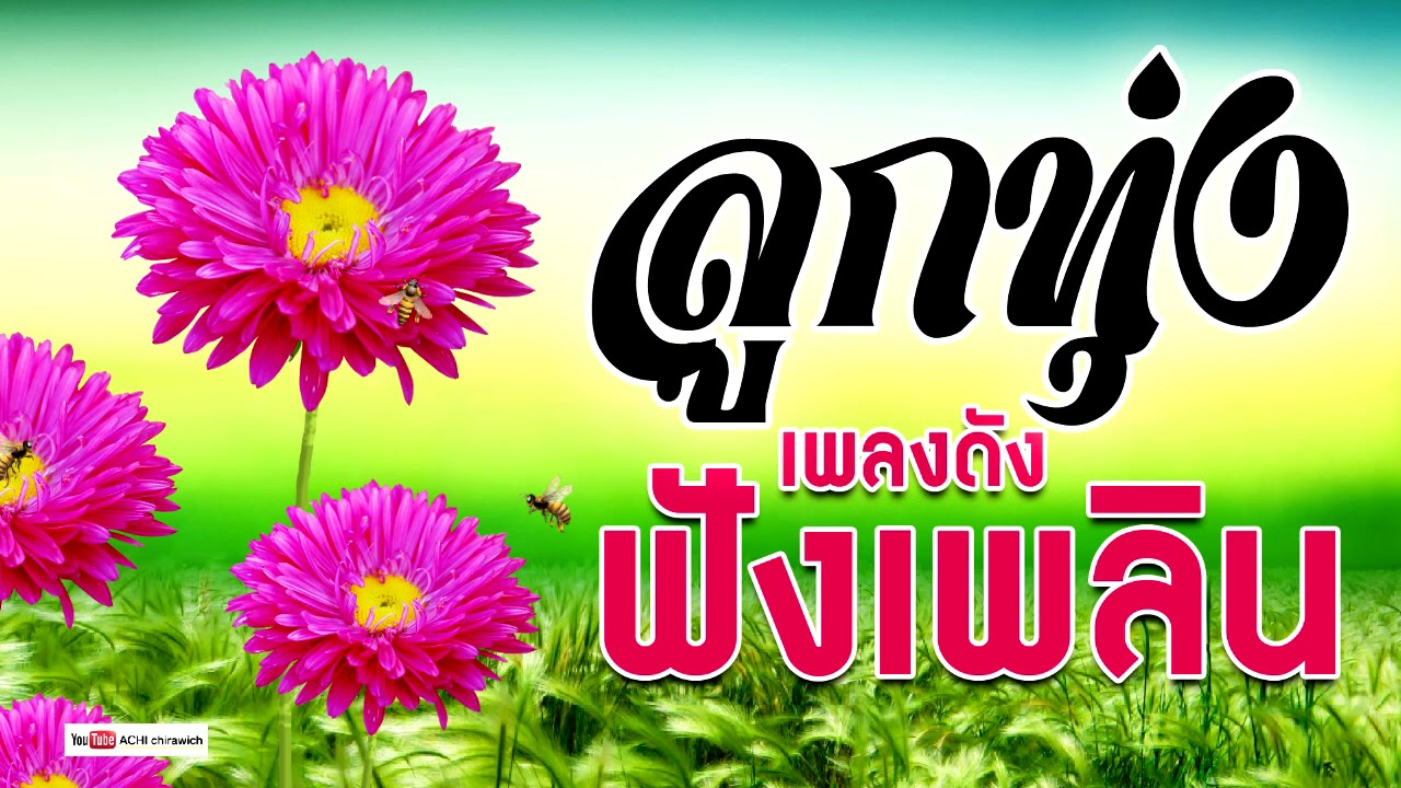 ลูกทุ่ง  เพลงดัง  -  ฟังเพลิน  /  (คัดมาพิเศษ) #ฟังต่อเนื่อง