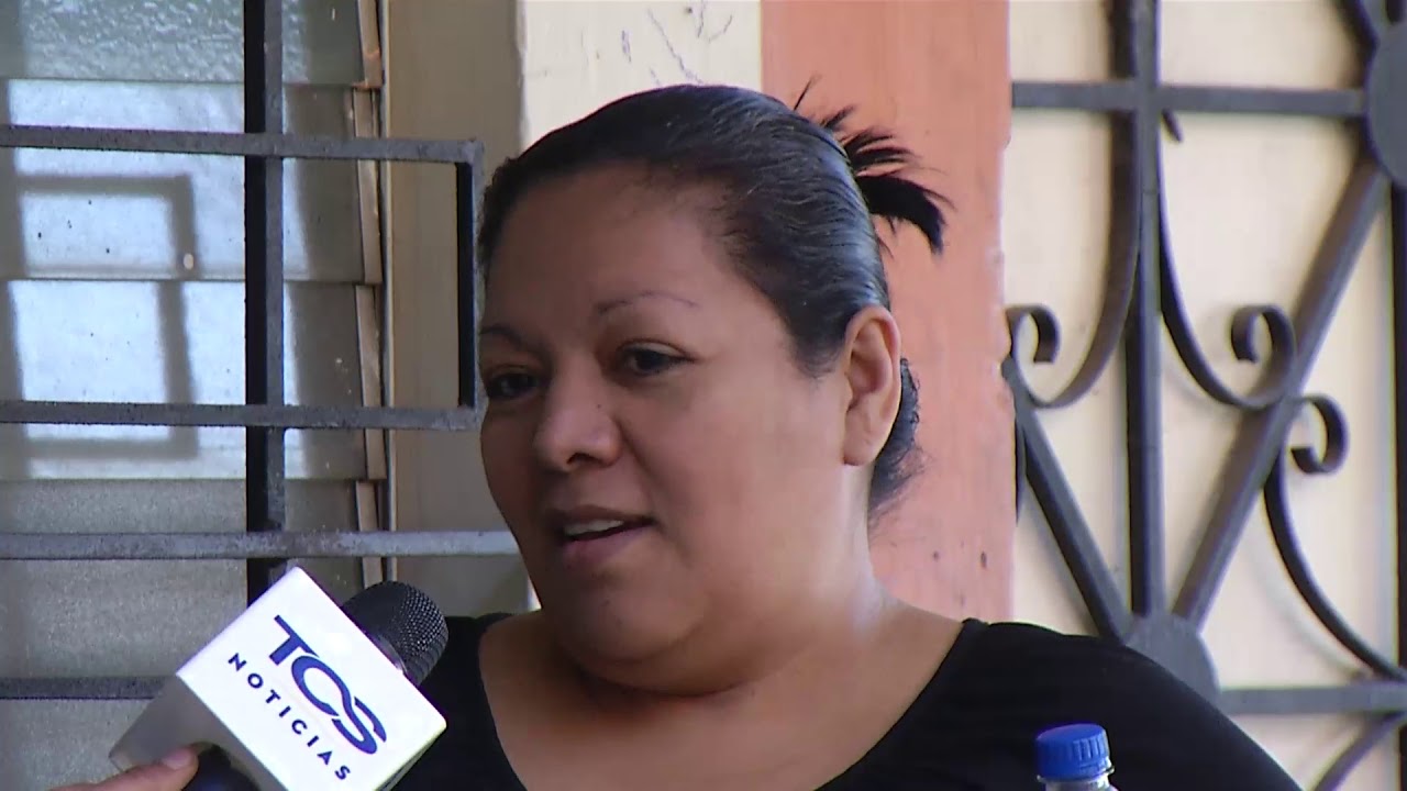 Habitantes de apartamentos 1 y 2 en colonia Zacamil de Mejicanos piden poda de &aacute;rboles