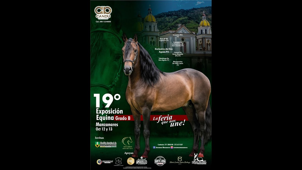 19° EXPOSICION EQUINA GRADO "B" MANZANARES - CALDAS 2024 DIA 1- TROTE Y GALOPE/ PASO FINO COLOMBIANO