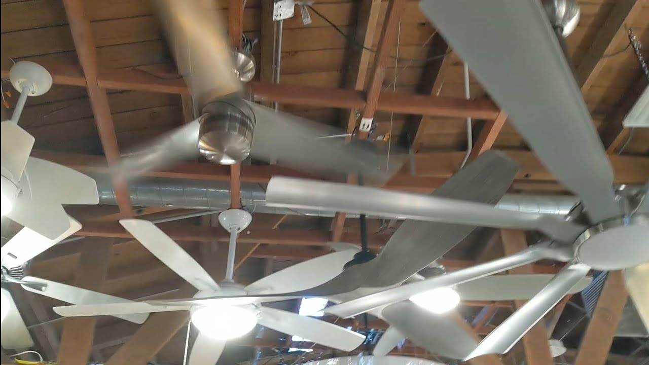 National Ceiling Fan Day 2024 - Lamps Expo