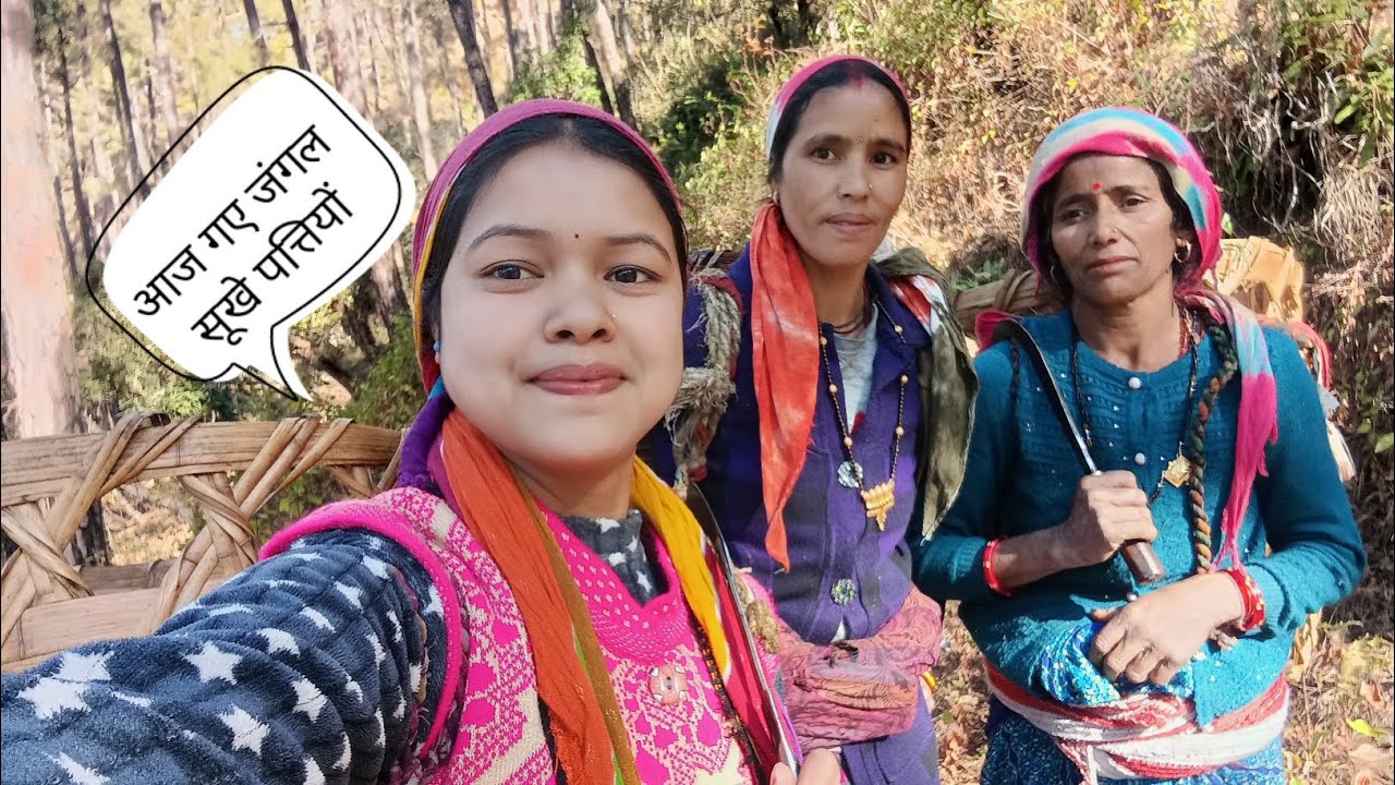 आज गए जंगल सूखे पत्तियों के लिए || #phadilifestyle #vlog ||