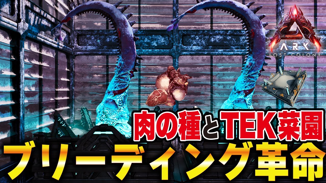 【ARK/ASA】ブリーディング革命！！肉の種とTEK菜園【ローカル】
