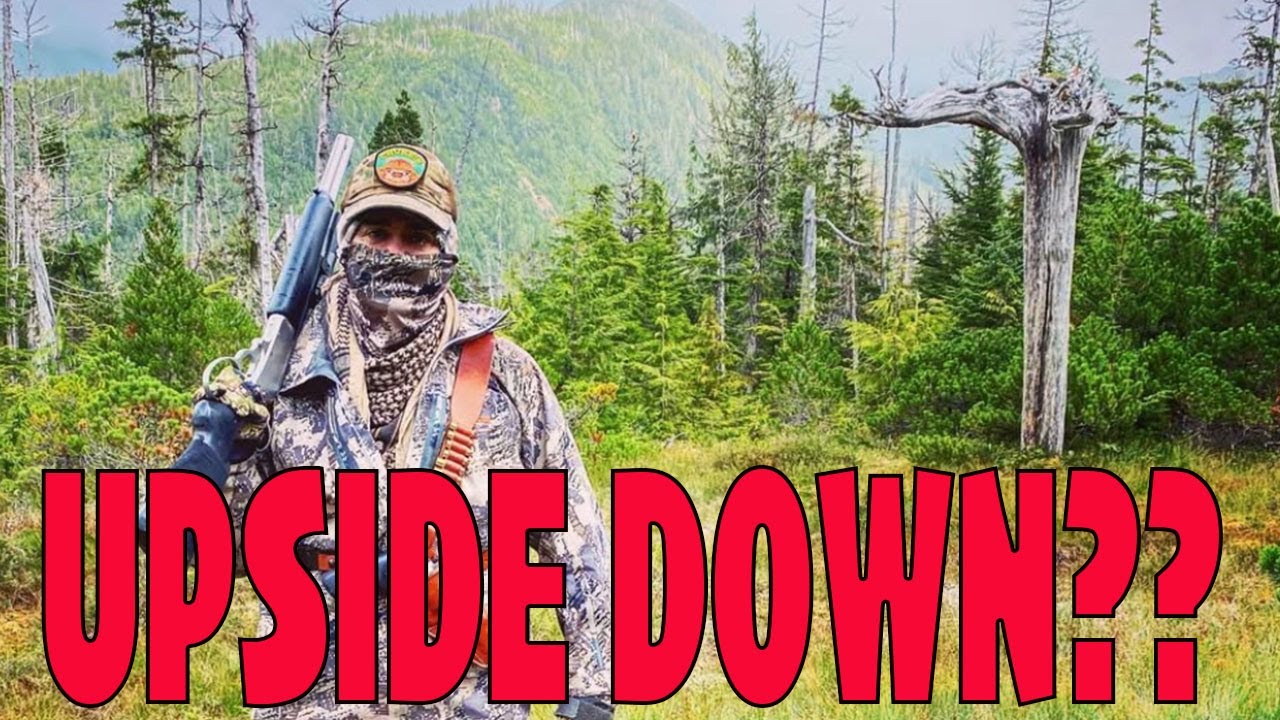 The Upside Down Trees of Prince of Wales Island Alaska | Proof of Bigfoot?