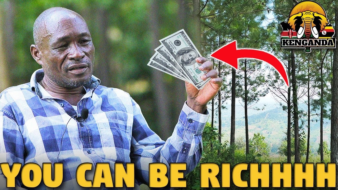 He Stopped Being a Civil Servant To Becoming One Of The Top Commercial Tree Farmers in UGANDA!