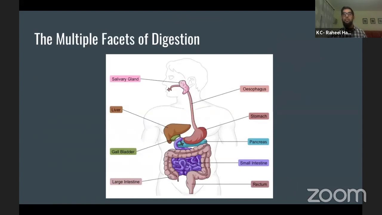 012   Behind the Scenes: A Naturopathic Perspective on Fasting Dr  Raheel Haque, ND