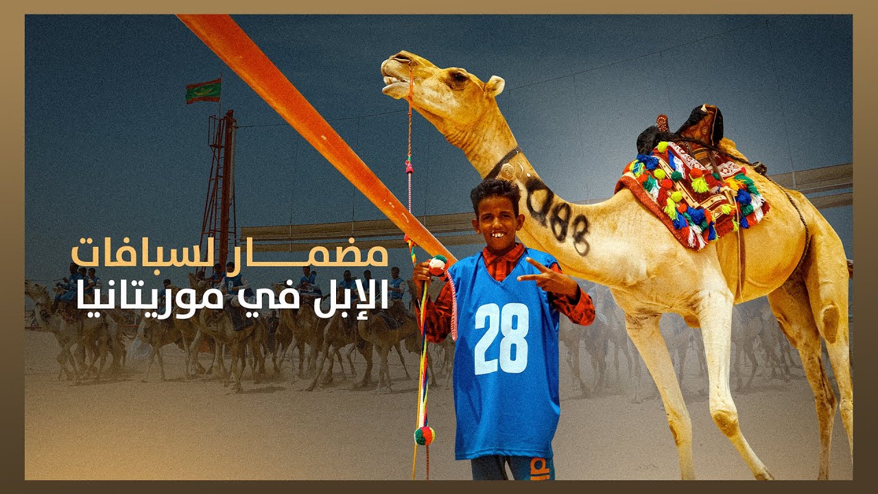 مضمار سباقات الإبل في موريتانيا