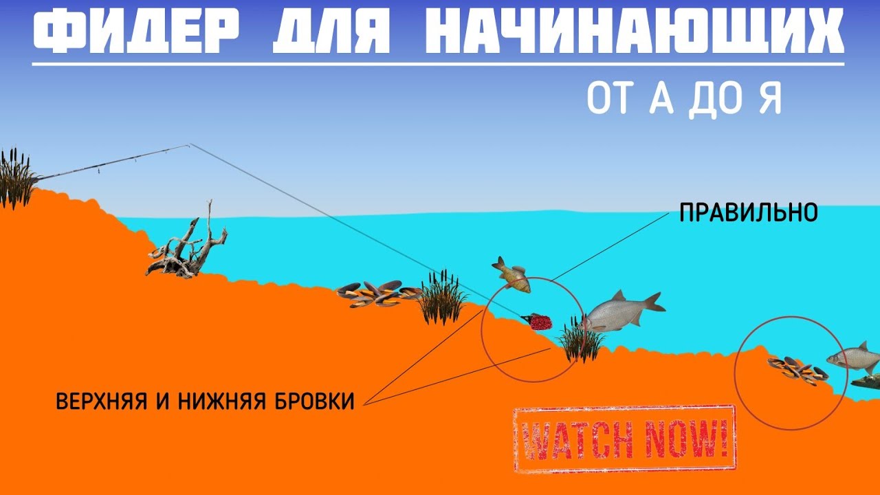 СТОИТ ли покупать ФИДЕР? Фидер для начинающих от А до Я ! Что вообще такое фидер? #рыбалка #фидер