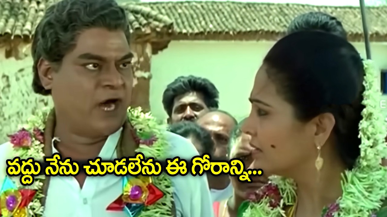 Kota Srinivas Rao Back To Back Comedy Scene | Telugu Comedy Scenes | iDream
