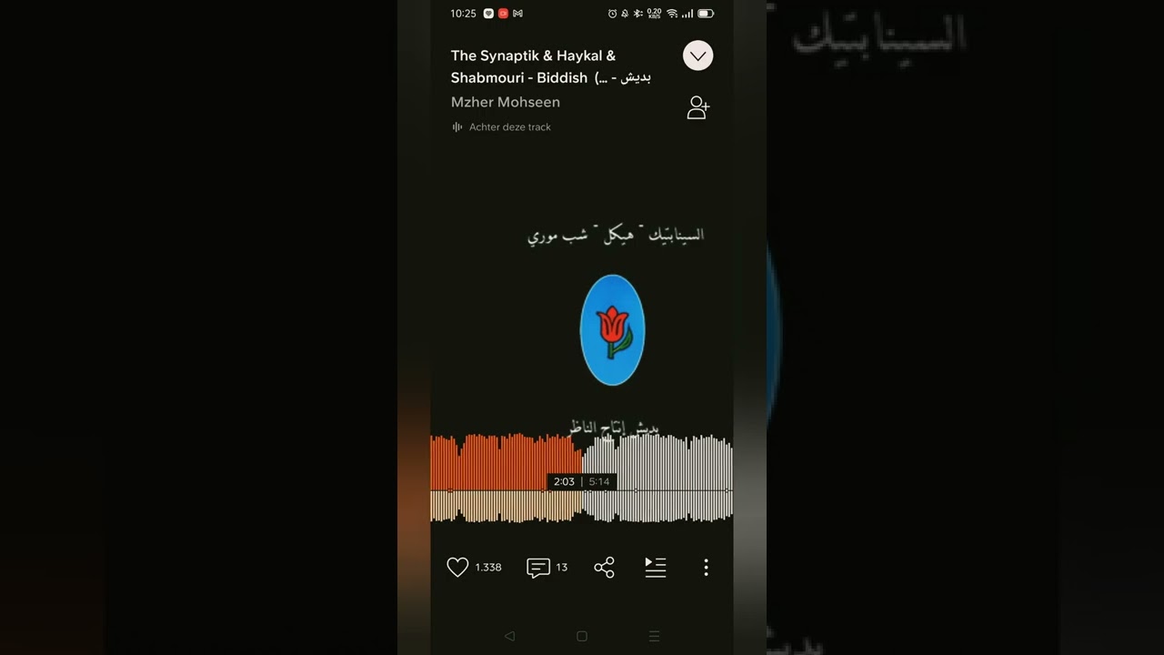 The Synaptik & Haykal & Shabmouri - Biddish BLTNM السينابتيك & هيكل & شب موري - بديش بلاتنم