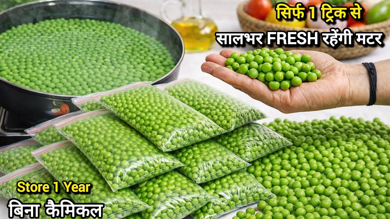 How To Store Green Peas |अगर आपकी मटर हो जाती है खराब तो ये वीडियो जरूर देखे| Homemade Frozen Peas