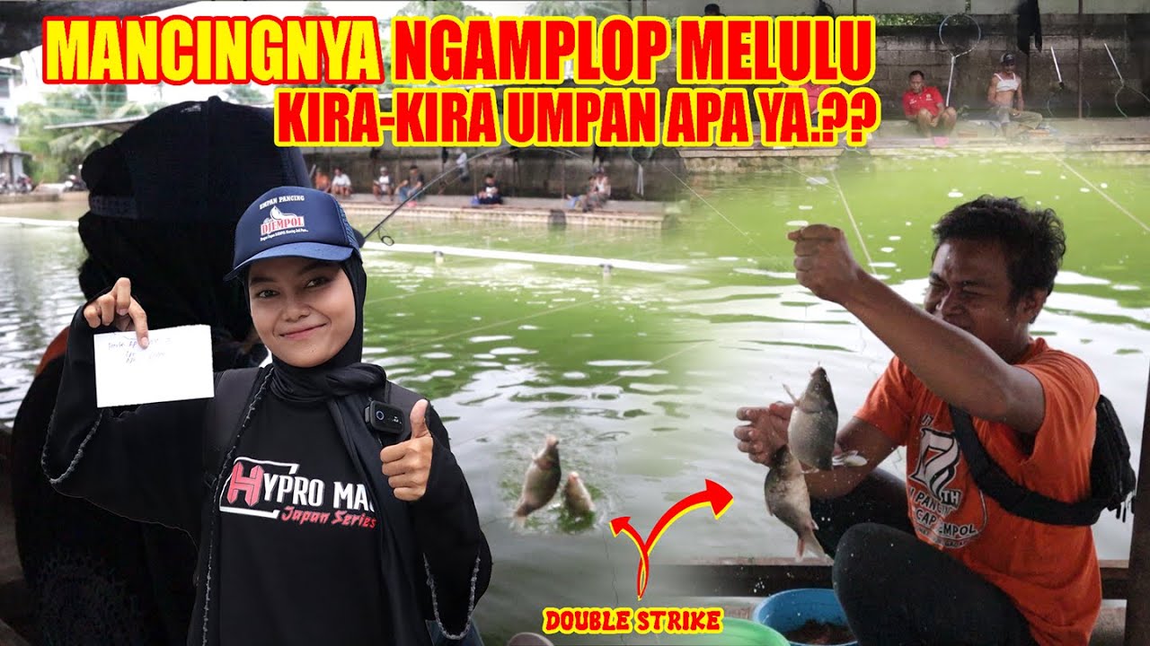 MANCINGNYA NGAMPLOP MELULU || UMPANNYA APA YA??