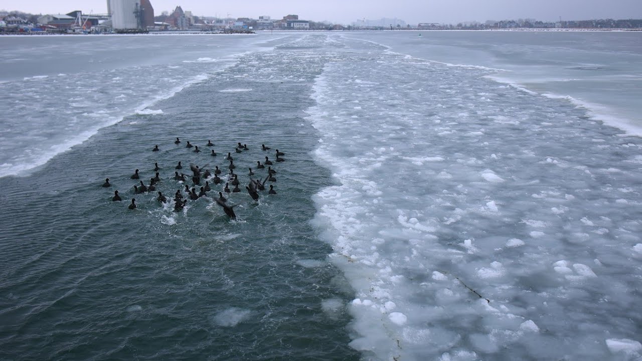 Auf Eisfahrt in Heiligenhafen.Mit einem Fischkutter geht es auf die Ostsee.