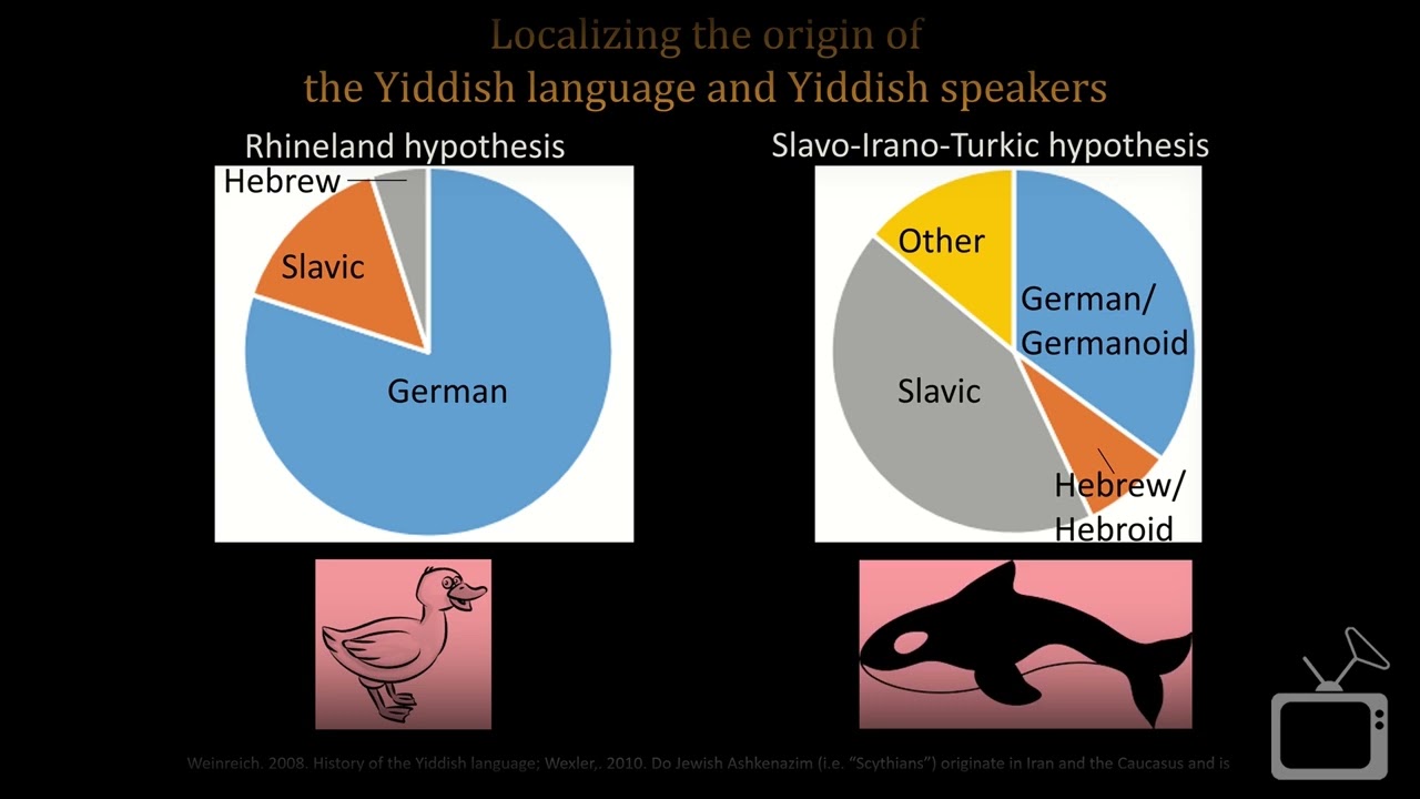 Geneticist Eran Elhaik reveals origins of the Ashkenazi Jews through DNA