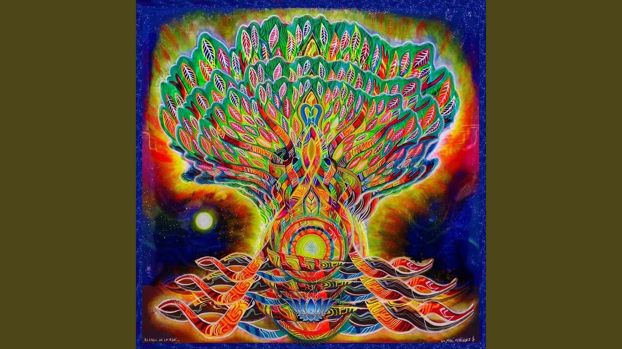 Seres De Luz
