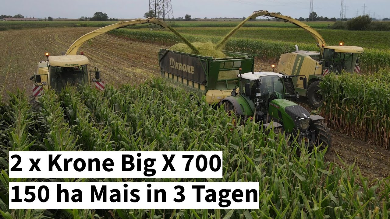 Maishäckseln mit 2 Krone Big X 700 | 150 ha Mais in 3 Tagen | Fendt 728 | John Deere 6R | Prinoth
