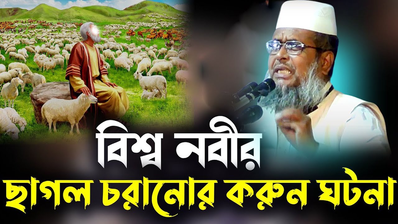 বিশ্ব নবীর ছাগল চরানোর করুণ ঘটনা । তোফাজ্জল হোসেন ভৈরবী । tofazzal hossain bhairovi  | Bangla Waz |
