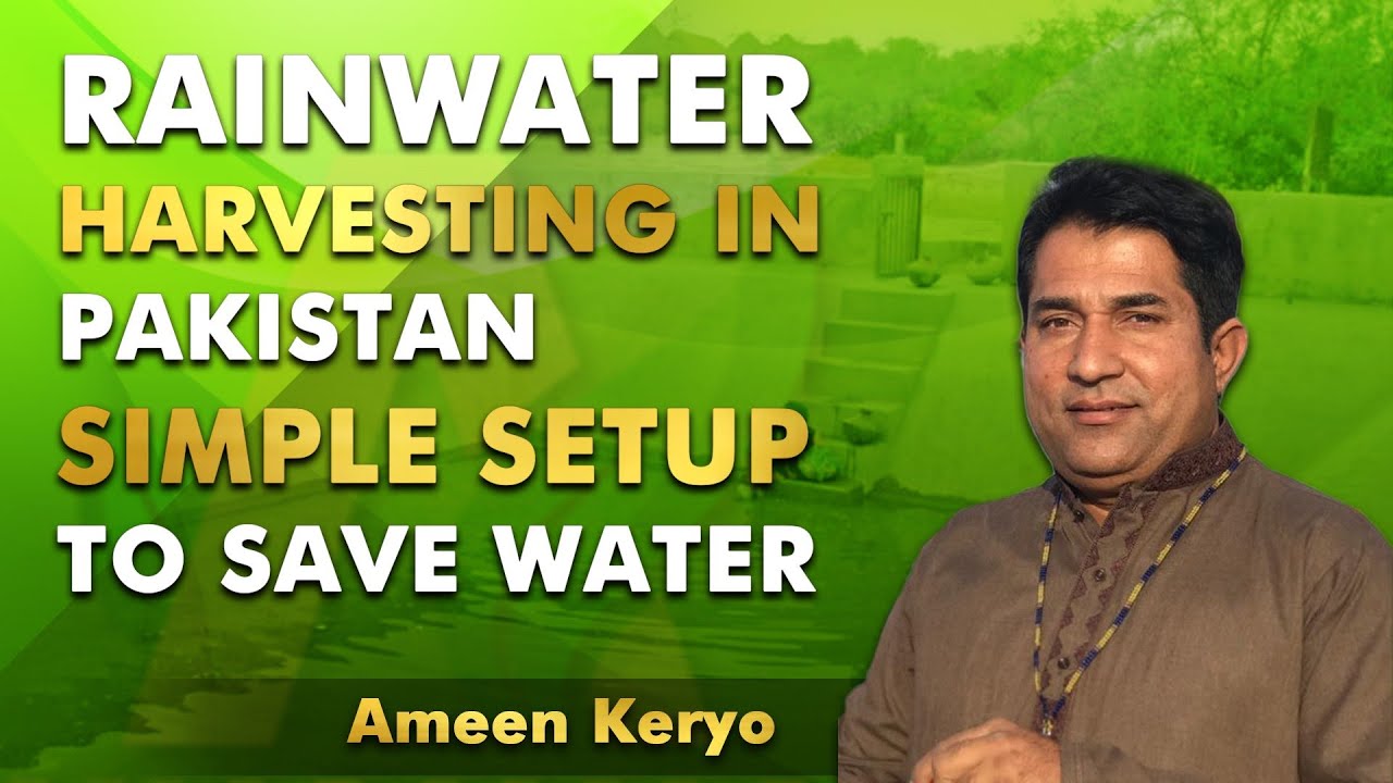 Rainwater Harvesting in Pakistan | Simple Setup to Save Water | Muhammad Ameen Keryo
