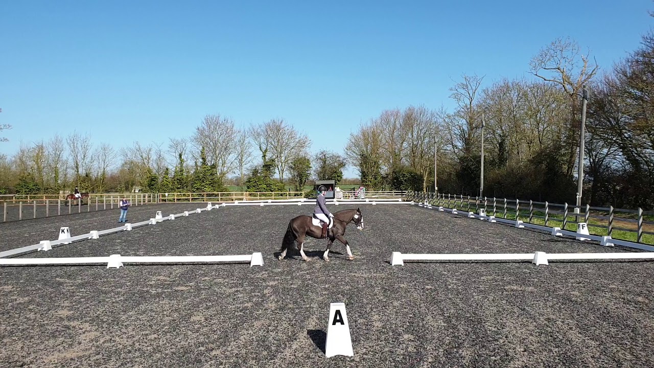 BD Intro A - 70.65% - Our Debut! - First Ever Dressage Test (for horse & rider) - HDRC Dressage